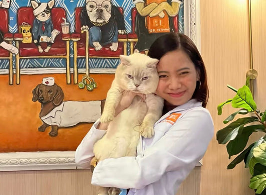 Book 3 | Vet Notes: Companion Animal Disease