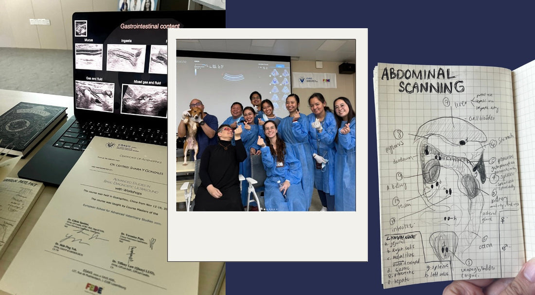 Ultrasonography