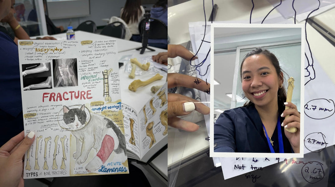 Orthopedic