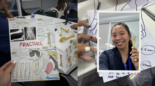 Orthopedic
