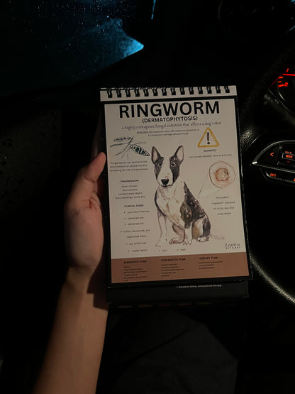 A Visual Guide to Canine Infectious Diseases Flipbook