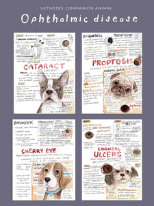 Companion Animal:  Ophthalmic diseases