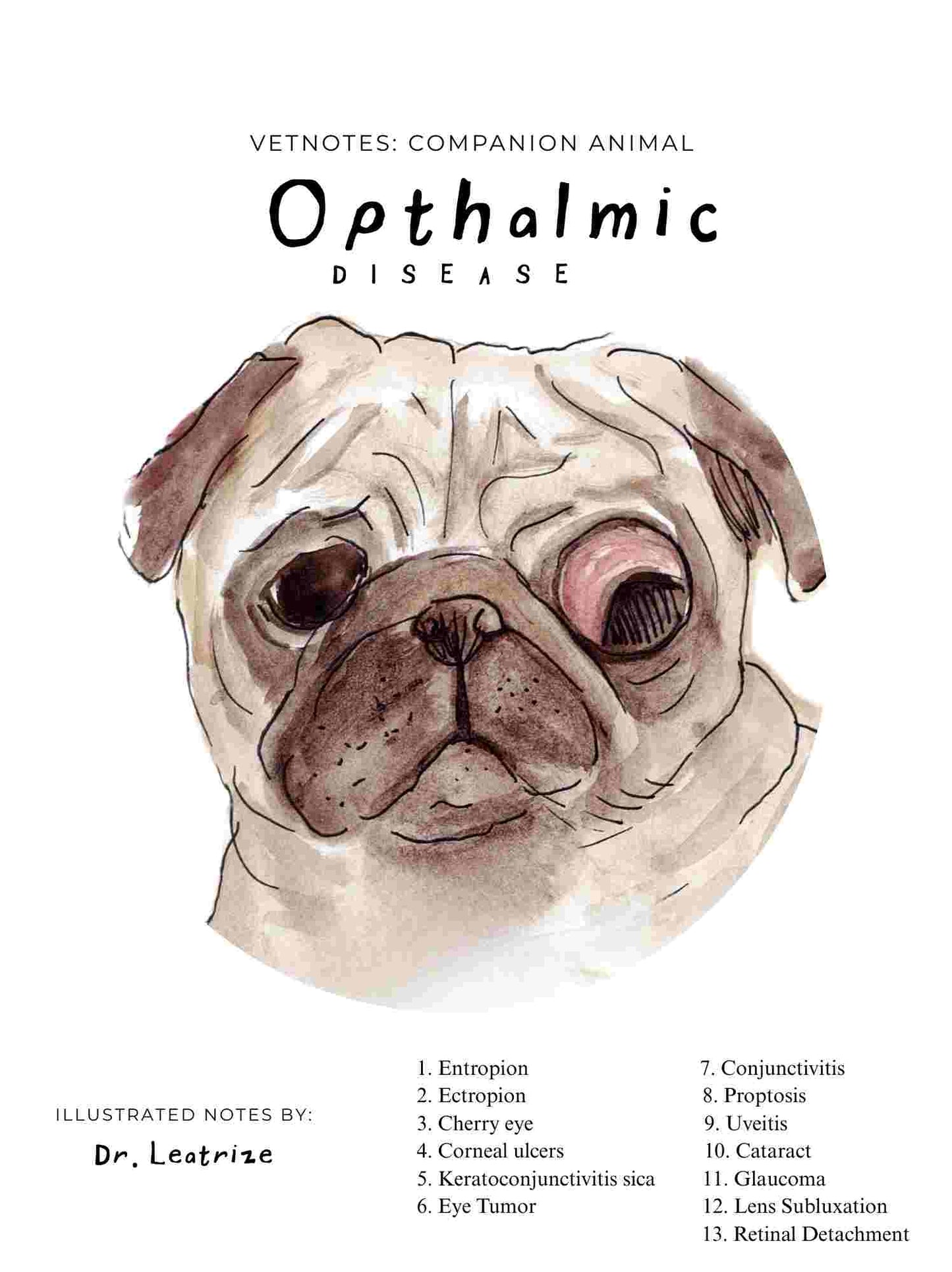 Companion Animal:  Ophthalmic diseases