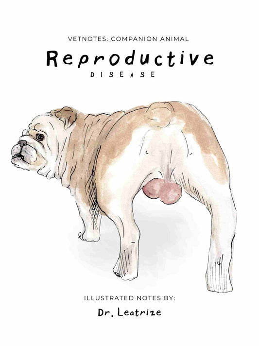 Companion Animal:  Reproductive Disease