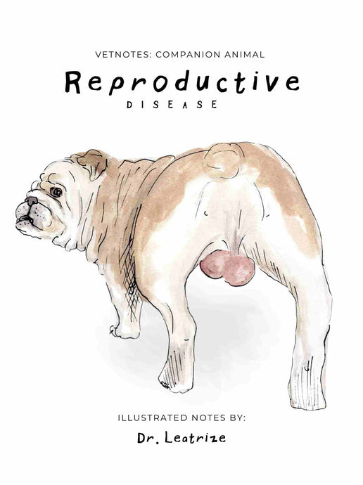 Companion Animal:  Reproductive Disease