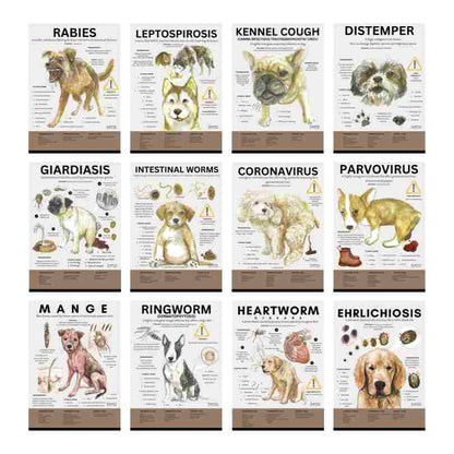 Canine Infectious Disease Poster Vet Clinic Wall Art