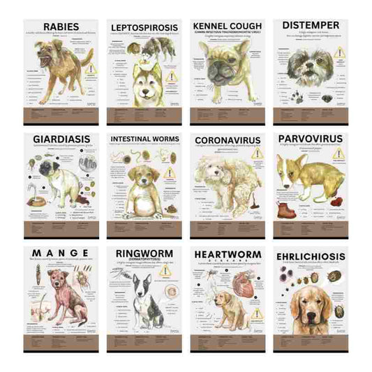 Canine Infectious Disease Poster Vet Clinic Wall Art