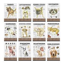 Load image into Gallery viewer, Canine Infectious Disease Poster Vet Clinic Wall Art