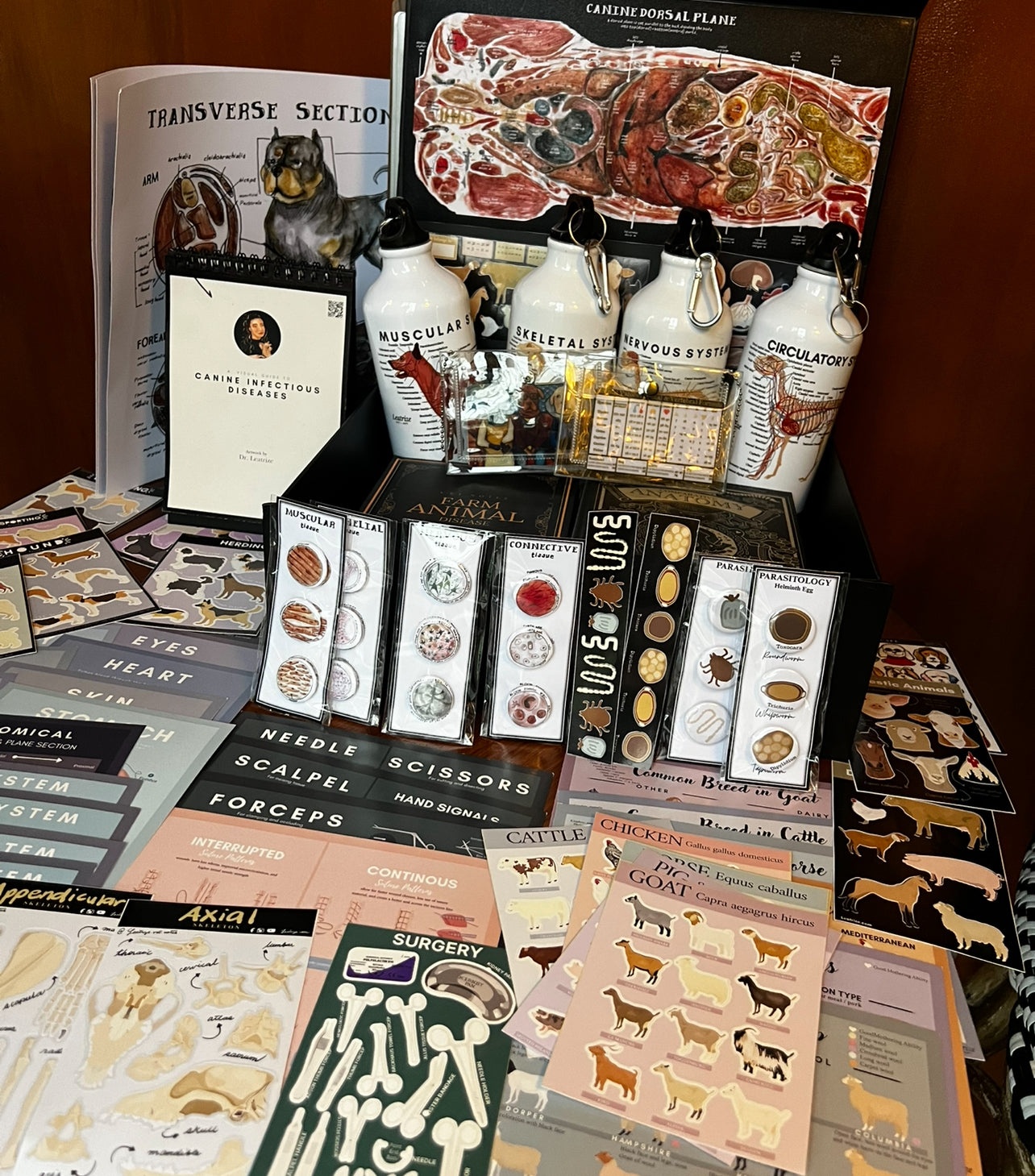 Vet Art Collector’s Box