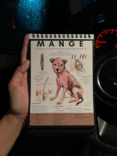 Load image into Gallery viewer, A Visual Guide to Canine Infectious Diseases Flipbook
