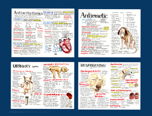 Pharmacology 2