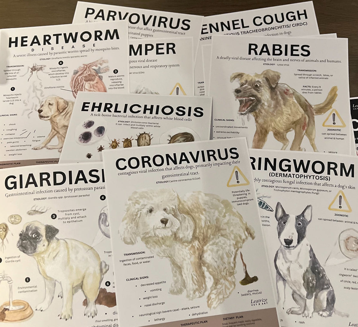 Veterinary Instruments Informative Posters Canine Infectious Disease Poster Vet Clinic Wall Art – leatrize.vet