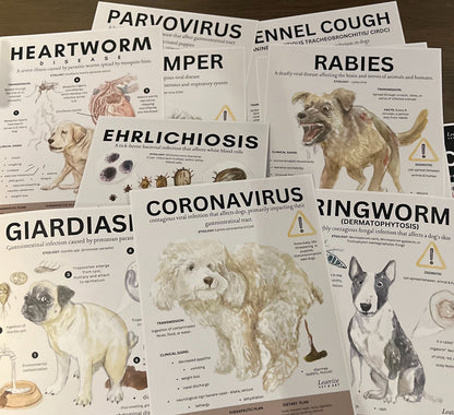 Canine Infectious Disease Poster Vet Clinic Wall Art