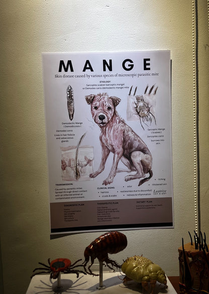 Canine Infectious Disease Poster Vet Clinic Wall Art