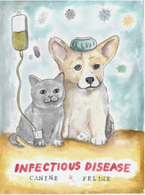 Load image into Gallery viewer, Canine and Feline medicine (infectious disease) digital download