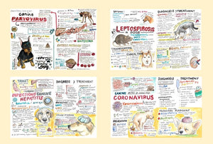 Canine and Feline medicine (infectious disease) digital download