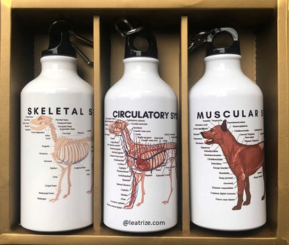 Canine Body System Sports Jug Set