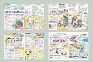 Canine and Feline medicine (infectious disease) digital download