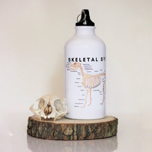 Load image into Gallery viewer, Canine Anatomy Sports Jug