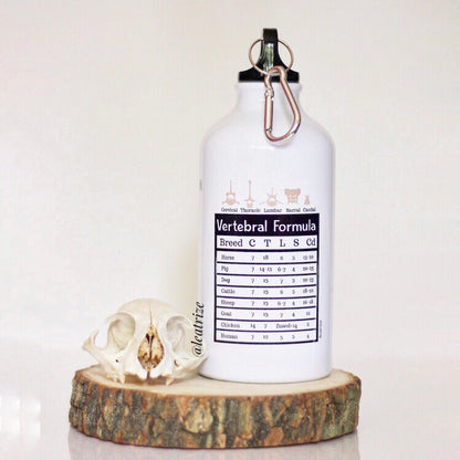 Canine Anatomy Sports Jug