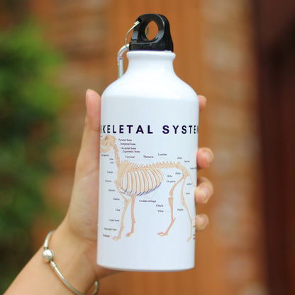 Canine Anatomy Sports Jug