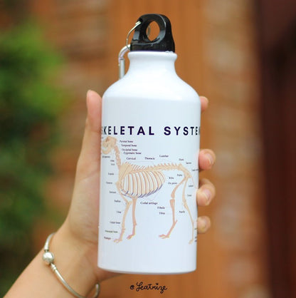 Canine Body System Sports Jug Set