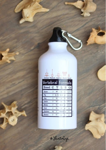 Canine Anatomy Sports Jug