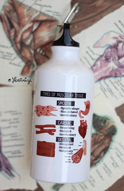 Canine Body System Sports Jug Set