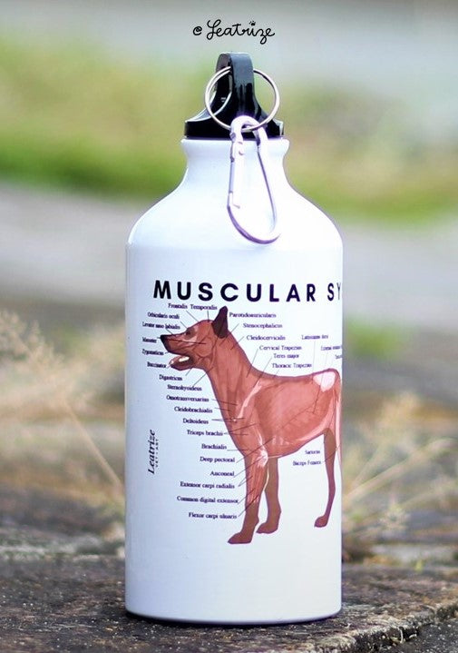 Canine Body System Sports Jug Set