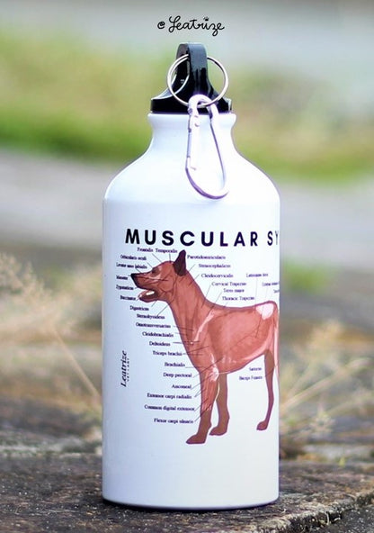 Canine Body System Sports Jug Set