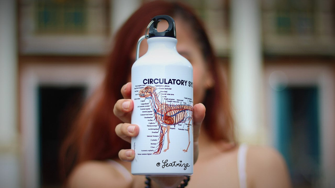 Canine Body System Sports Jug Set