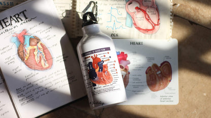 Canine Body System Sports Jug Set