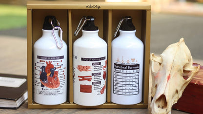 Canine Body System Sports Jug Set