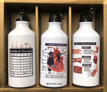 Load image into Gallery viewer, Canine Body System Sports Jug Set