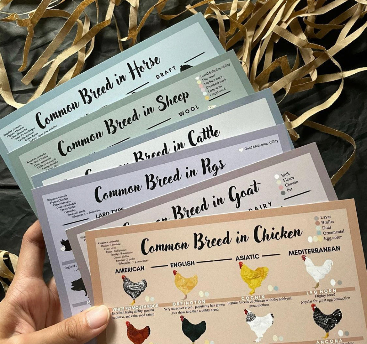 Common breed of domestic animal card