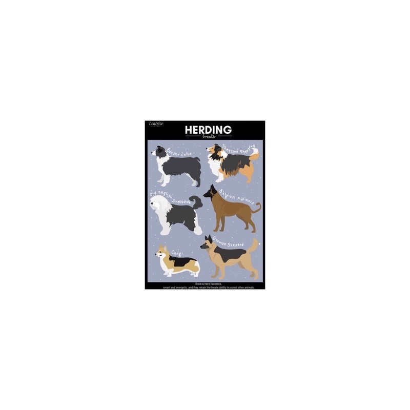 Dog breeds sticker