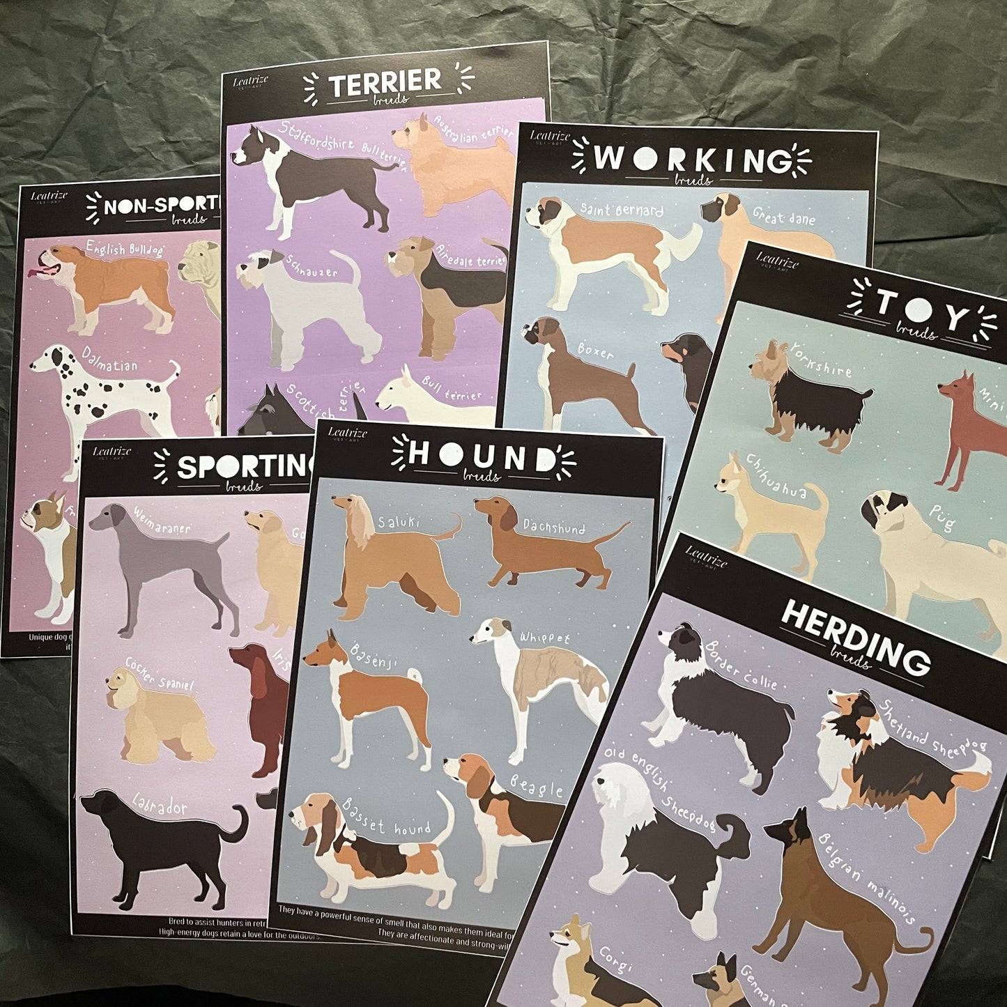 Dog breeds sticker
