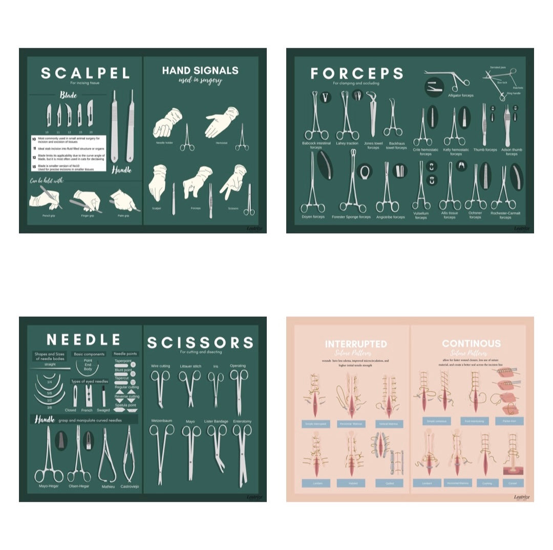 Surgery cards – leatrize.vet