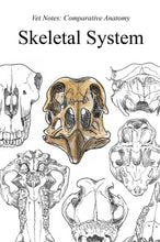 Load image into Gallery viewer, Comparative Anatomy Skeletal System (Veterinary student notes) ebook