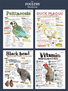 Veterinary Medicine: Poultry (chicken, ducks, birds…)